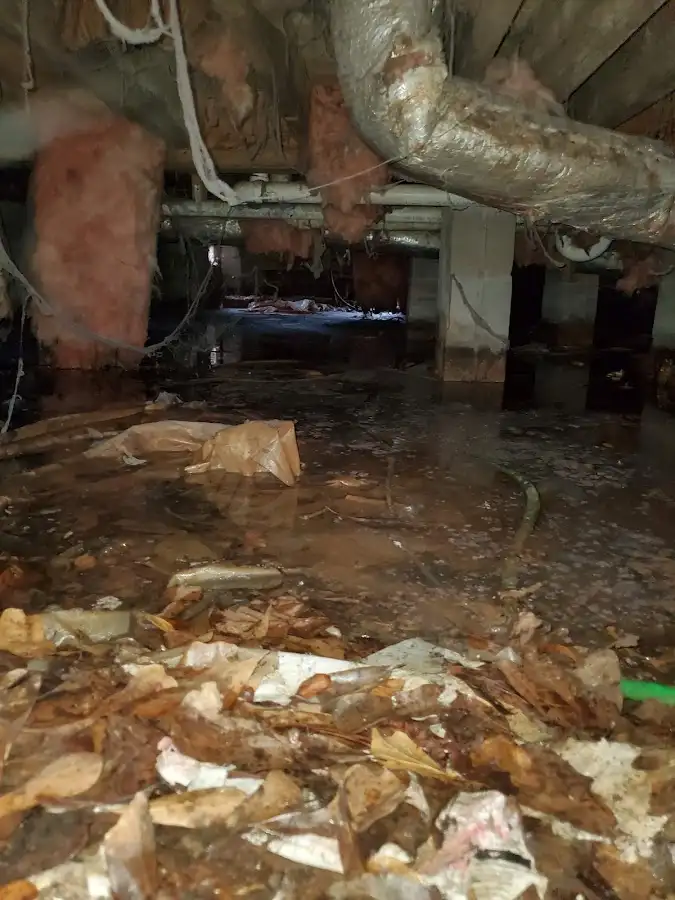 Crawl space flood assessment for Leak Detection & Repair in Palermo