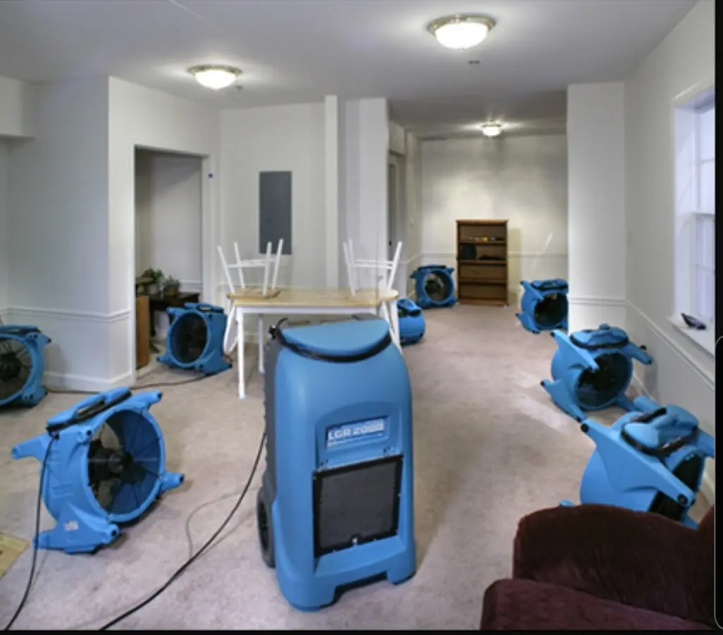 Air movers and dehumidifier setup for Water Extraction & Removal in Palermo